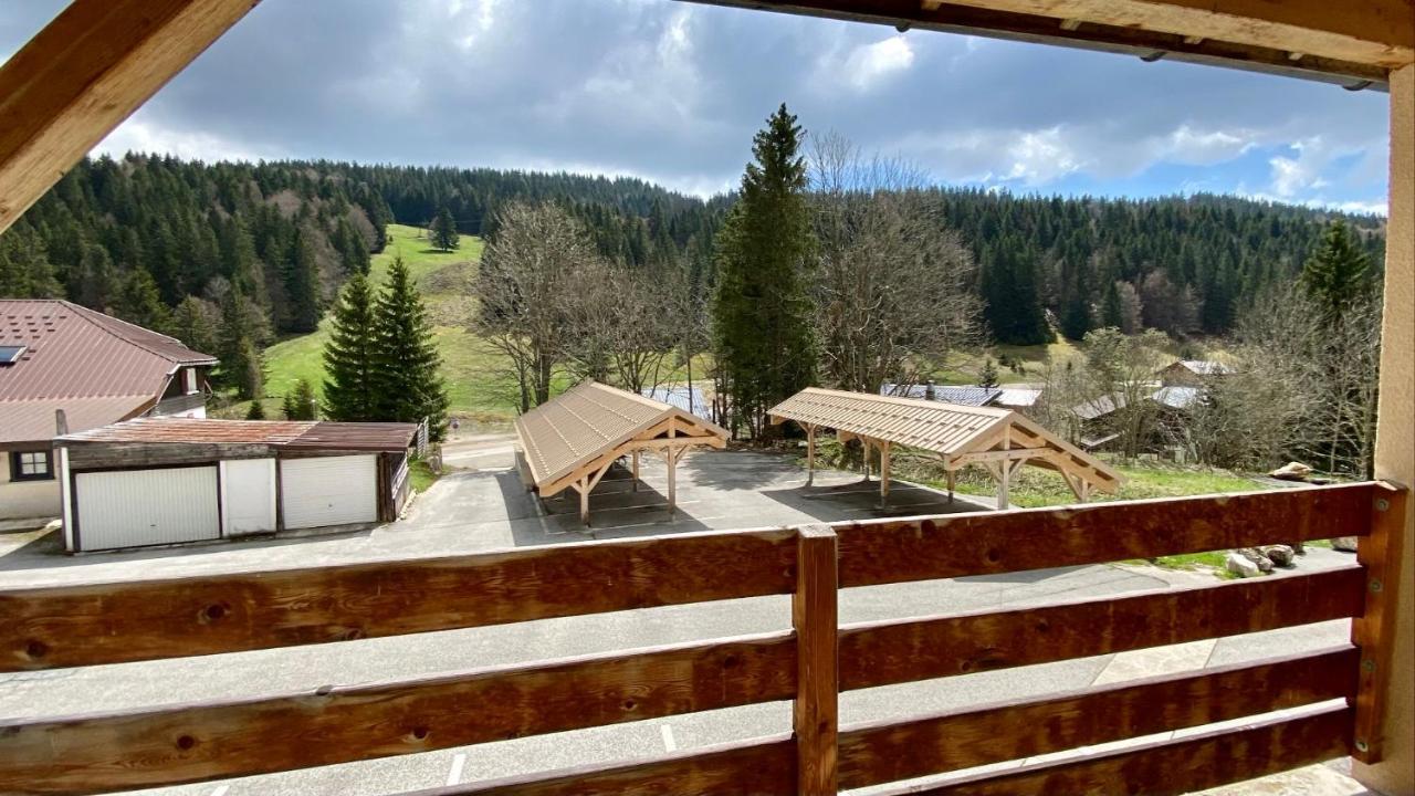 Appartement Ideal Pour Ete Et Hiver, Situe Au Pied Des Pistes De Ski Et Des Sentiers De Randonnee Преманон Экстерьер фото